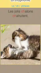 Orthophonie : exercices FR screenshot