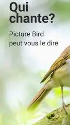 Picture Bird - Bird Identifier screenshot