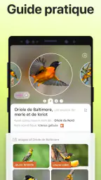 Picture Bird - Bird Identifier screenshot