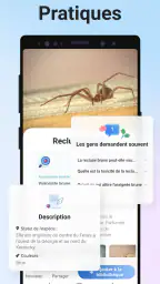 Picture Insect - Insectes ID screenshot