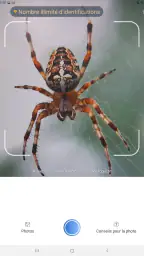 Picture Insect - Insectes ID screenshot