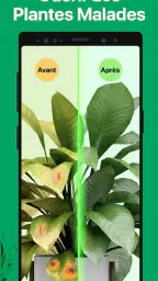 PictureThis Plante Identifier screenshot