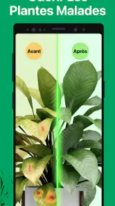 PictureThis Plante Identifier screenshot