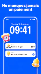 Planificateur de budget screenshot