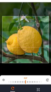 Planificateur de légumes screenshot