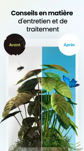 PlantApp - Identificateur screenshot