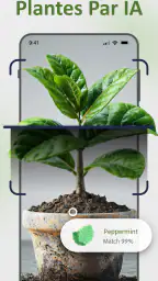 Plantes Reconnaissance et Soin screenshot