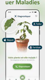 Plantes Reconnaissance et Soin screenshot