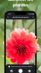 PlantIn plantes reconnaissance screenshot