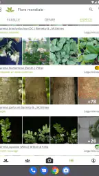 PlantNet Identification Plante screenshot