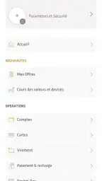 Pocket Bank screenshot