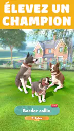 Pocket Paws: mes petits chiens screenshot