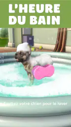 Pocket Paws: mes petits chiens screenshot