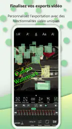 PutMask Censure Vidéo & Image screenshot