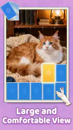 Puzzle Jigsort™ : Amusement screenshot