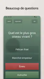 Quiz sans fin screenshot