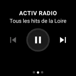 Radio Player France screenshot