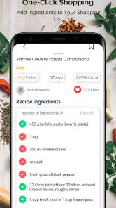 Recettes pour perdre du poids screenshot