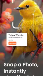 Reconnaissance Oiseaux Bird ID screenshot