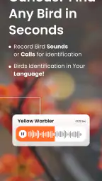 Reconnaissance Oiseaux Bird ID screenshot