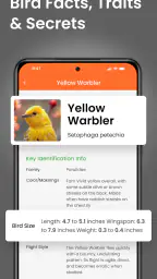Reconnaissance Oiseaux Bird ID screenshot