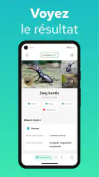 Reconnaitre Les Insectes screenshot