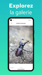 Reconnaitre Les Insectes screenshot