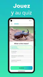 Reconnaitre Les Insectes screenshot