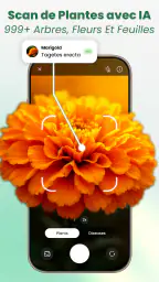 Scan Plantes & Fleurs: AI screenshot