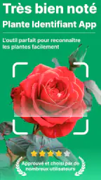 Scanner identifiant plante screenshot