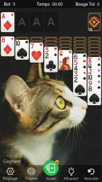 Solitaire Classic Klondike screenshot