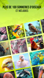 Sons d'oiseaux screenshot