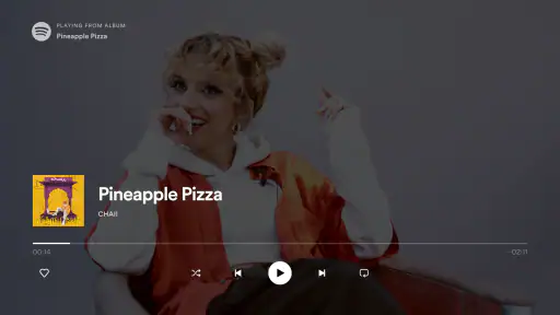 Spotify Music pour Android TV screenshot