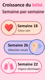 Suivi Grossesse Chaque Semaine screenshot