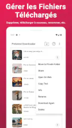 Téléchargement Vidéo Pinterest screenshot