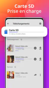 Téléchargeur screenshot