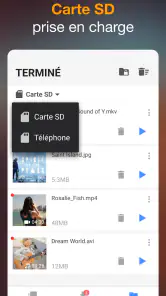 Téléchargeur de Vidéo screenshot
