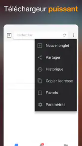 Téléchargeur de Vidéo screenshot
