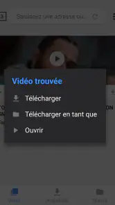 Téléchargeur de Vidéo screenshot