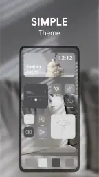 Thèmes, Widgets & Icônes screenshot
