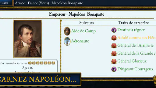 Total War: NAPOLEON screenshot
