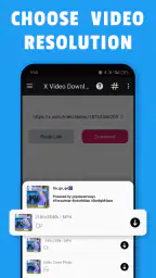Twitter Video Download screenshot