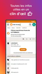 vide-greniers.org screenshot