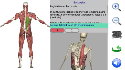 Visual Anatomy screenshot