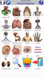 Visual Anatomy screenshot