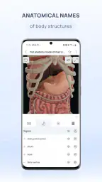 VOKA 3D Anatomie et Pathologie screenshot