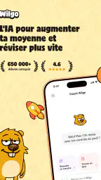 wilgo - l'IA de révision n°1 screenshot