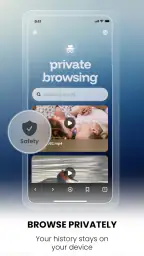 Wiro Browser: Fast & Private screenshot