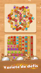 Woodle Screw® Pin Puzzle à Vis screenshot
