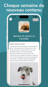 WoofLearn : Éducation du Chien screenshot